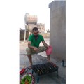 Etisalat