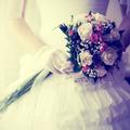 berfinelif