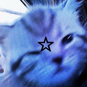 SsLuna