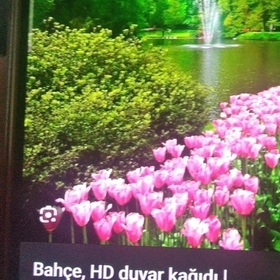 emineakdas71