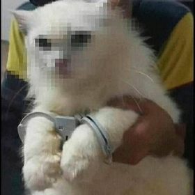 güneşinsiyahı