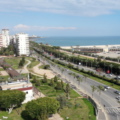 Harbi33