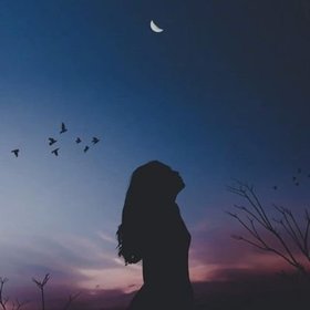 Yalnızçiçek123456