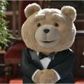 Ayı_teddy