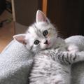 nabeerxxbxb