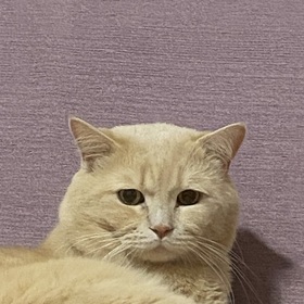 SKAşkım