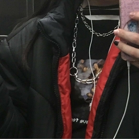 kırpıkkirpi