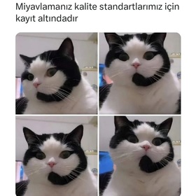 Dilanboyraz