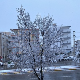 Krstjnr