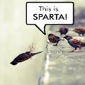 DisIsSparta