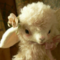 sofsof3602