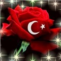 kjogjlıu