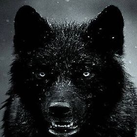 BLack_kut