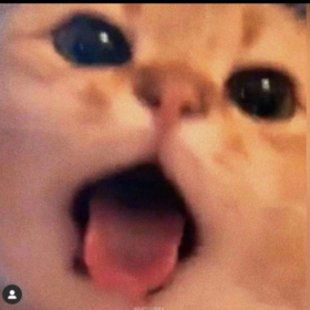 NiColle_00