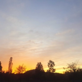 mavisevenkiz0801