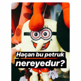 alpertunganerde