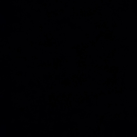 Demo875
