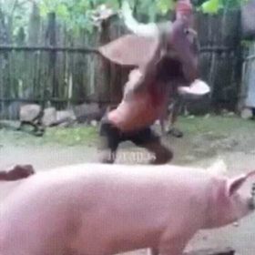 DomuzCelladı