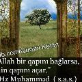fatimeqasim1
