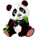 yorgunpanda
