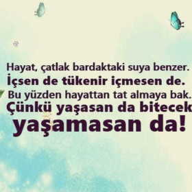 hadisehadise
