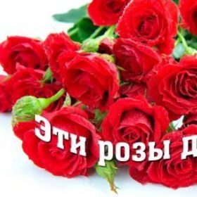 Amirta
