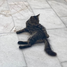 Ispanaklısufle