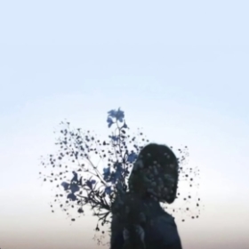 Elifaltn___