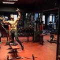 shreddedphysique