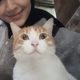 Luluzannaq