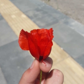 merymery