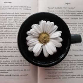 papatyaaşığı00