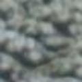 asker26