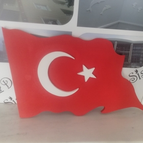 alayına06