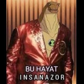 vanayikis