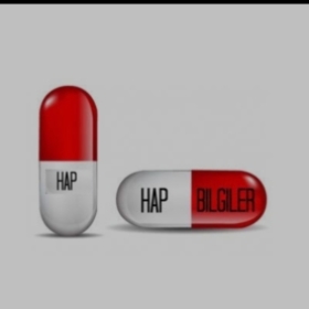 hapbilgi