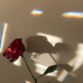 elifsuu01