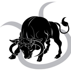 taurus3443