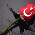 aydın72