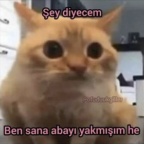 Anksiyetelibiribu