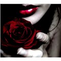 lonelyrose