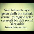 belzebuth22