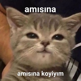 Beeyazz