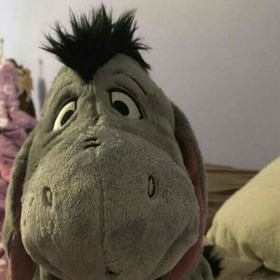 merrrtcan1245