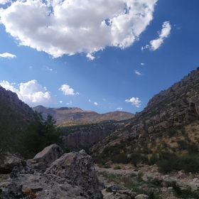 Fıratturker