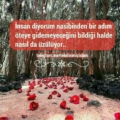 Hazırcevap007
