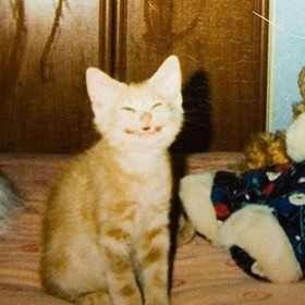 pinkimi