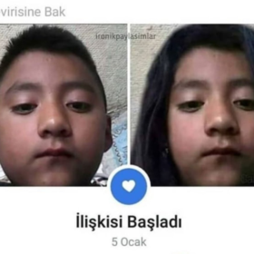 Skylinea