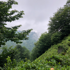 korumkafanakutali