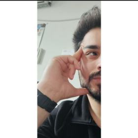 revisionstem